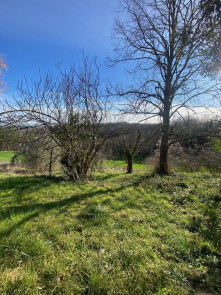 Maison en Vente à Salvagnac / 8 pièces 98m2